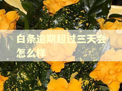 白条逾期超过三天会怎么样