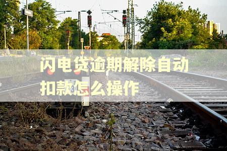 闪电贷逾期解除自动扣款怎么操作