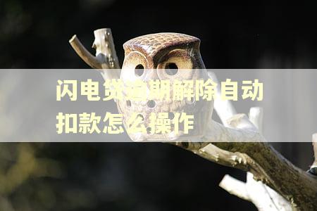 闪电贷逾期解除自动扣款怎么操作 闪电贷逾期解除自动扣款怎么操作