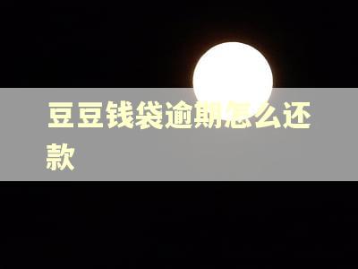 豆豆钱袋逾期怎么还款