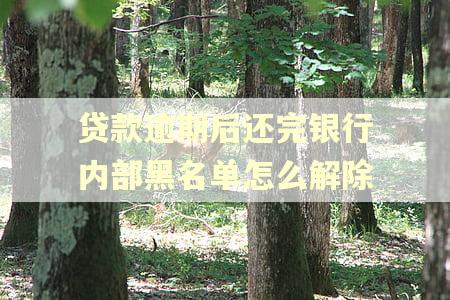 贷款逾期后还完银行内部黑名单怎么解除