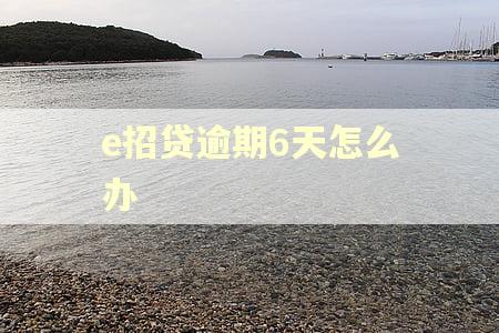e招贷逾期6天怎么办