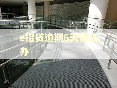 e招贷逾期6天怎么办
