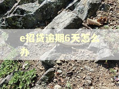 e招贷逾期6天怎么办