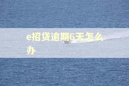 e招贷逾期6天怎么办