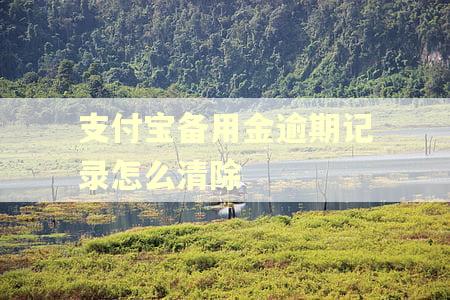 支付宝备用金逾期记录怎么清除