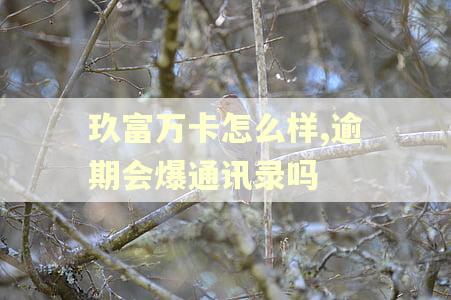 玖富万卡怎么样,逾期会爆通讯录吗