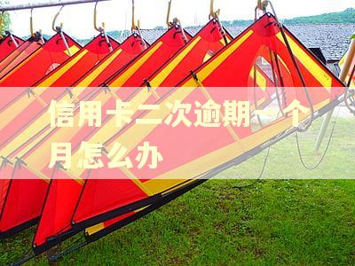 信用卡二次逾期一个月怎么办