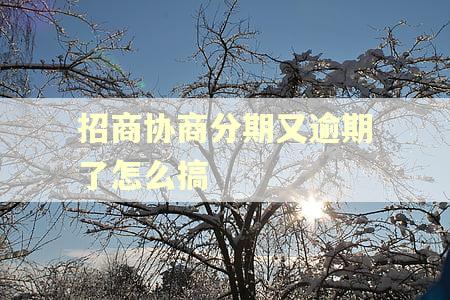 招商协商分期又逾期了怎么搞