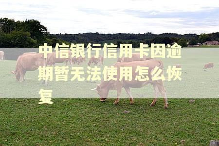 中信银行信用卡因逾期暂无法使用怎么恢复