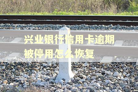 兴业银行信用卡逾期被停用怎么恢复