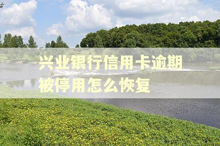 兴业银行信用卡逾期被停用怎么恢复