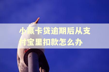 小赢卡贷逾期后从支付宝里扣款怎么办
