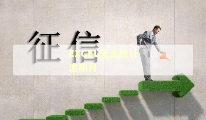 EXCEL怎么统计逾期月