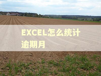 EXCEL怎么统计逾期月