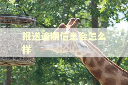 报送逾期信息会怎么样