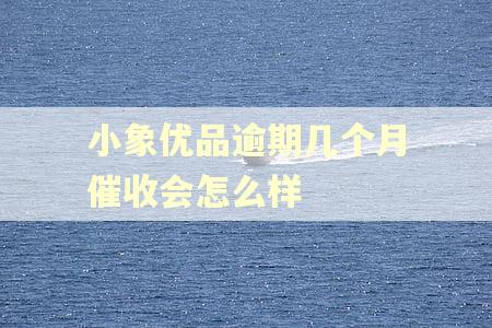 小象优品逾期几个月催收会怎么样