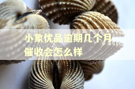 小象优品逾期几个月催收会怎么样