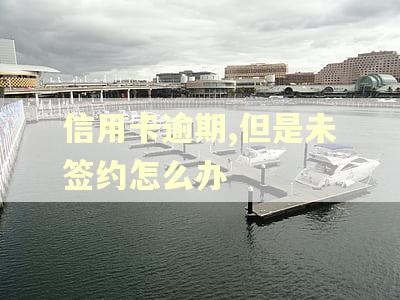 信用卡逾期,但是未签约怎么办