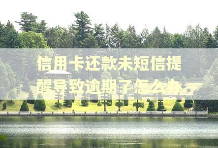 信用卡还款未短信提醒导致逾期了怎么办