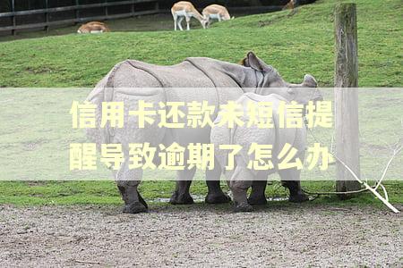 信用卡还款未短信提醒导致逾期了怎么办 信用卡还款未短信提醒导致逾期了怎么办