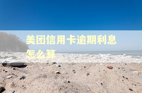 美团信用卡逾期利息怎么算