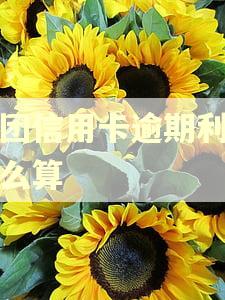 美团信用卡逾期利息怎么算