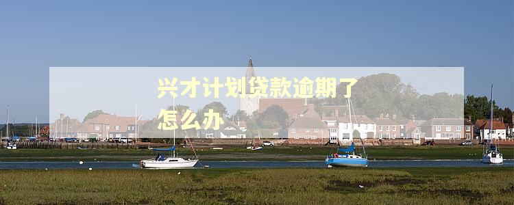 兴才计划贷款逾期了怎么办