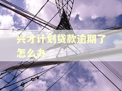 兴才计划贷款逾期了怎么办