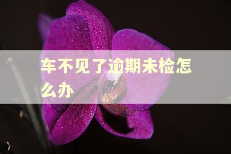 车不见了逾期未检怎么办