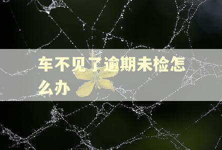 车不见了逾期未检怎么办