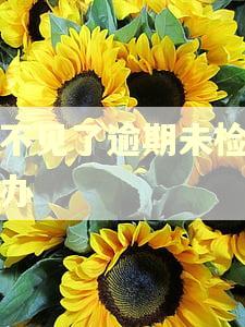 车不见了逾期未检怎么办