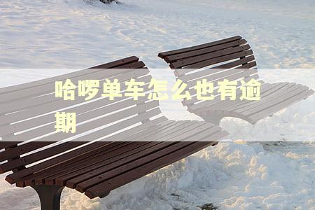 哈啰单车怎么也有逾期