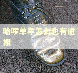 哈啰单车怎么也有逾期