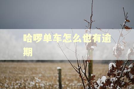 哈啰单车怎么也有逾期 哈啰单车怎么也有逾期