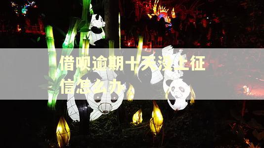 借呗逾期十天没上征信怎么办