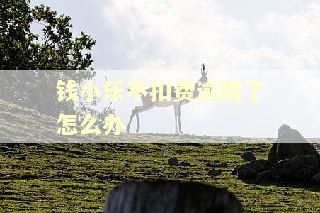 钱小乐不扣费逾期了怎么办