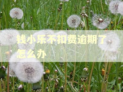 钱小乐不扣费逾期了怎么办