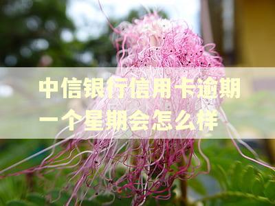 中信银行信用卡逾期一个星期会怎么样