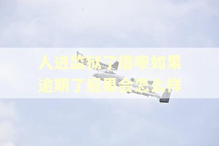人进监狱了借呗如果逾期了后果会怎么样