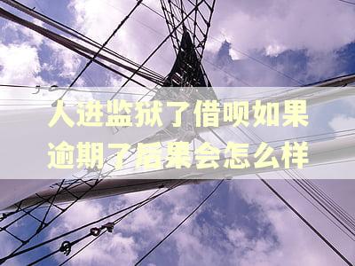 人进监狱了借呗如果逾期了后果会怎么样