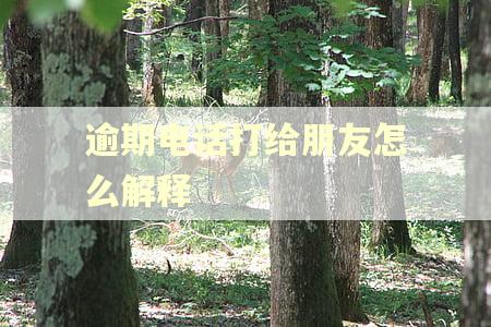 逾期电话打给朋友怎么解释