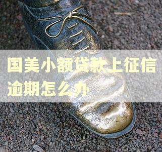 国美小额贷款上征信逾期怎么办