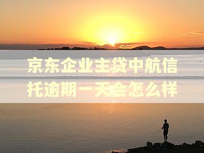 京东企业主贷中航信托逾期一天会怎么样