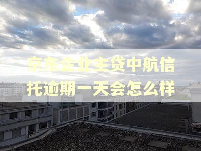 京东企业主贷中航信托逾期一天会怎么样
