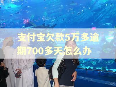 支付宝欠款5万多逾期700多天怎么办 支付宝欠款5万多逾期700多天怎么办