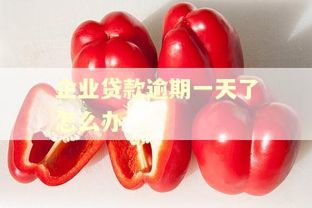 企业贷款逾期一天了怎么办