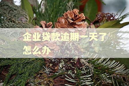 企业贷款逾期一天了怎么办
