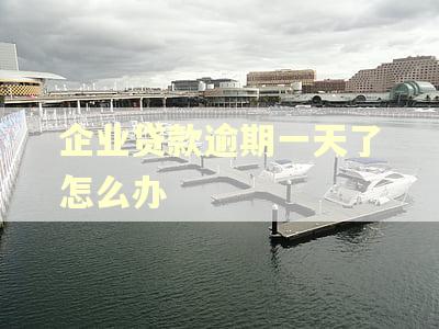 企业贷款逾期一天了怎么办