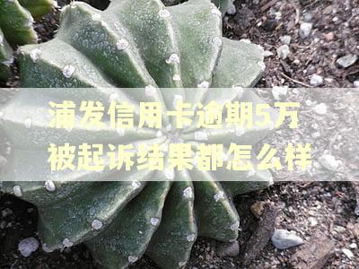 浦发信用卡逾期5万被起诉结果都怎么样